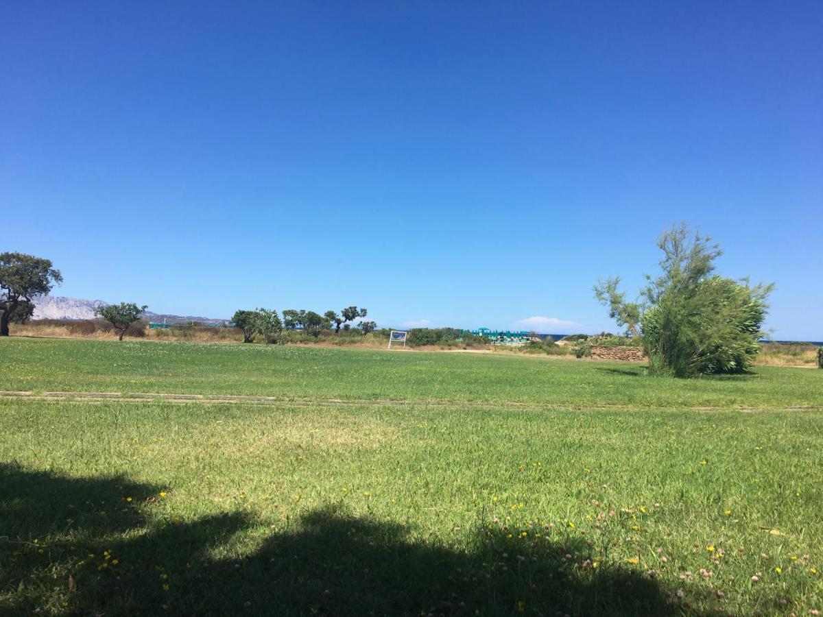Appartamento In Villaggio, A 150Mt Dal Mare ซาน เตโอโดโร ภายนอก รูปภาพ